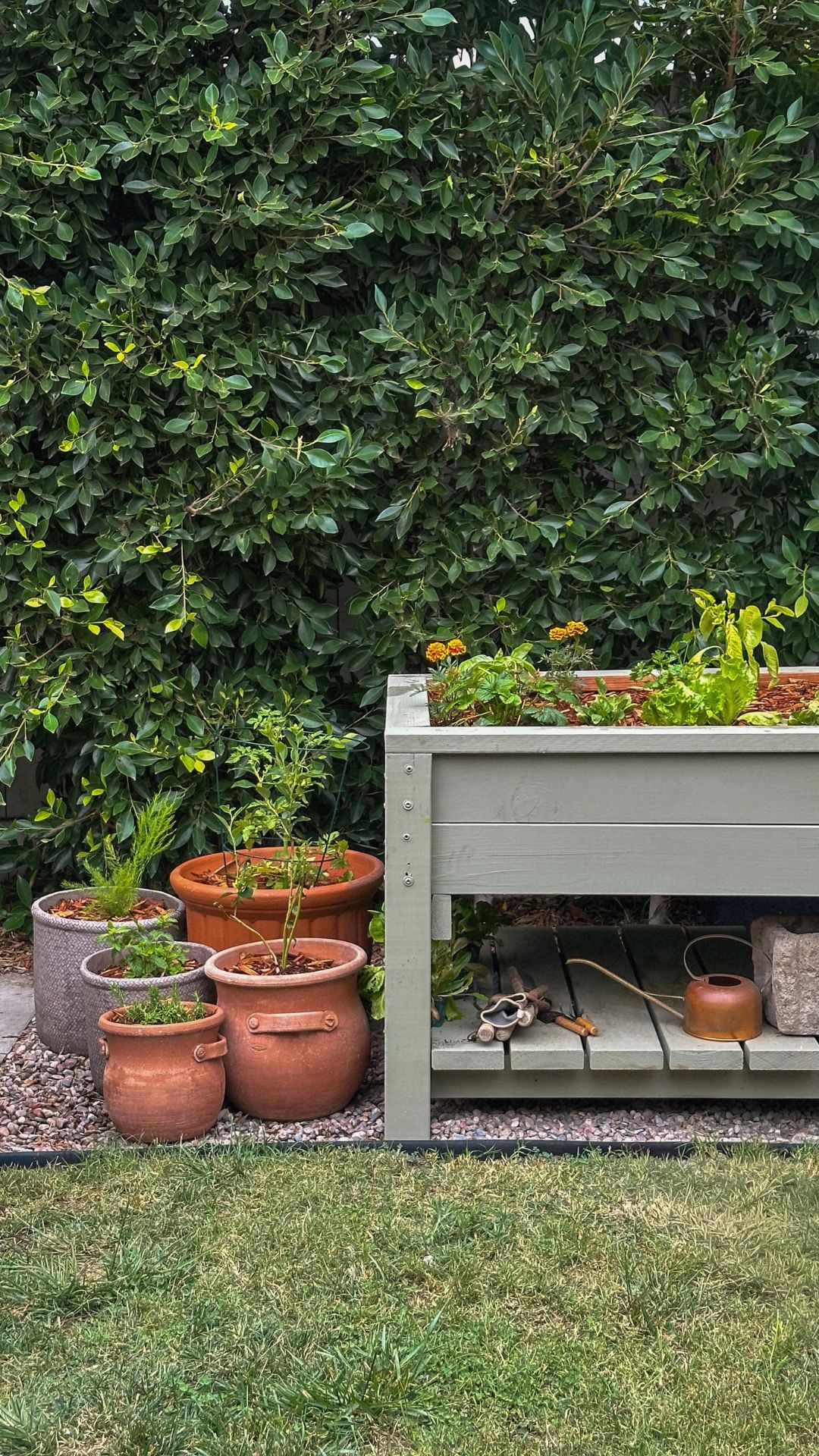Sage green elevated garden bed with lettuce and marigolds, a lower shelf of garden tools and terracotta herb pots on gravel
